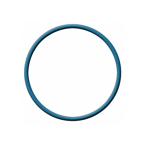 حلقه لاستیکی FFKM O